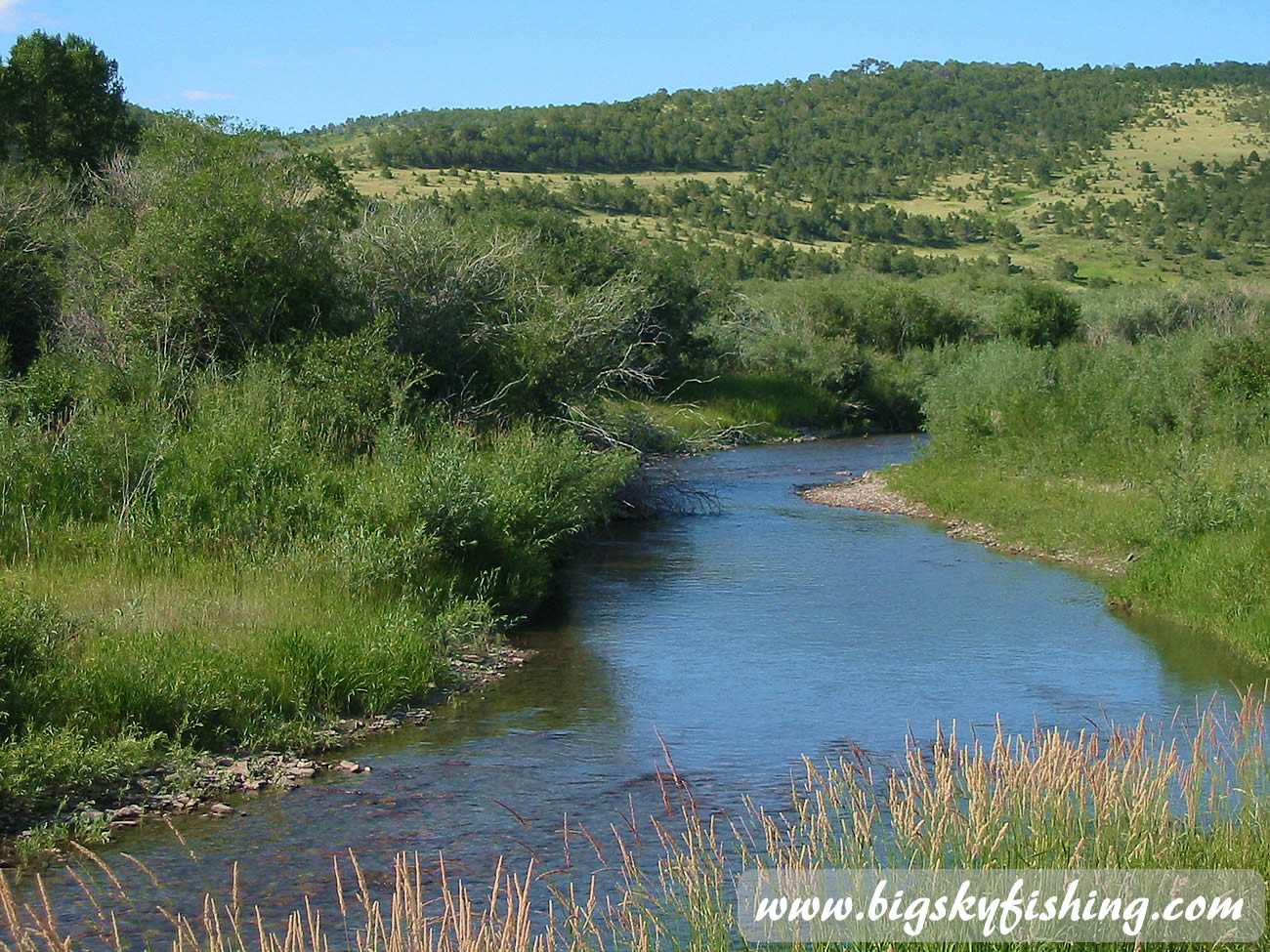 Judith River in Central Montana