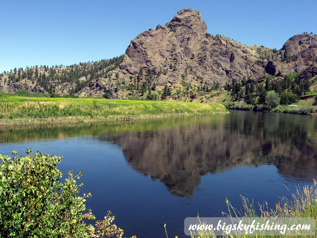 Excellent Habitat on the Missouri River