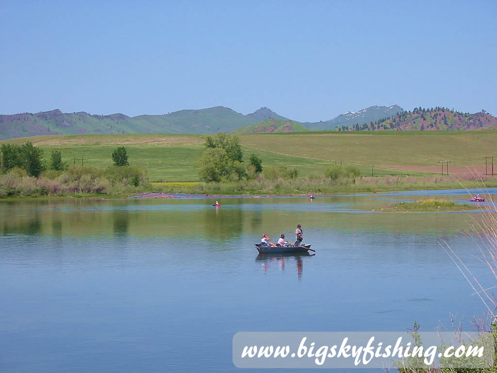 Fly Fishing Near Wolf Creek