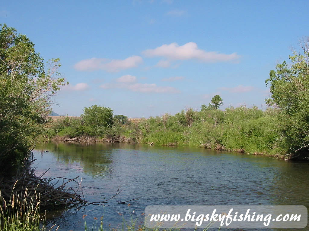 Upper Musselshell River