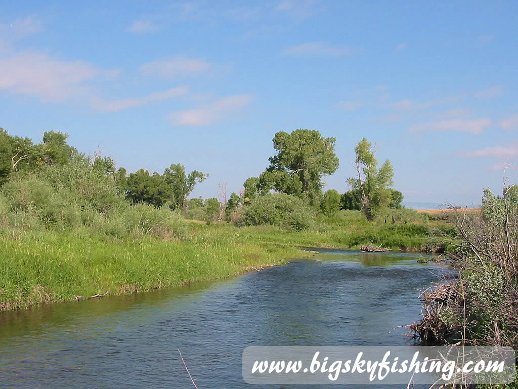 Upper Musselshell River Near Two Dot, Montana