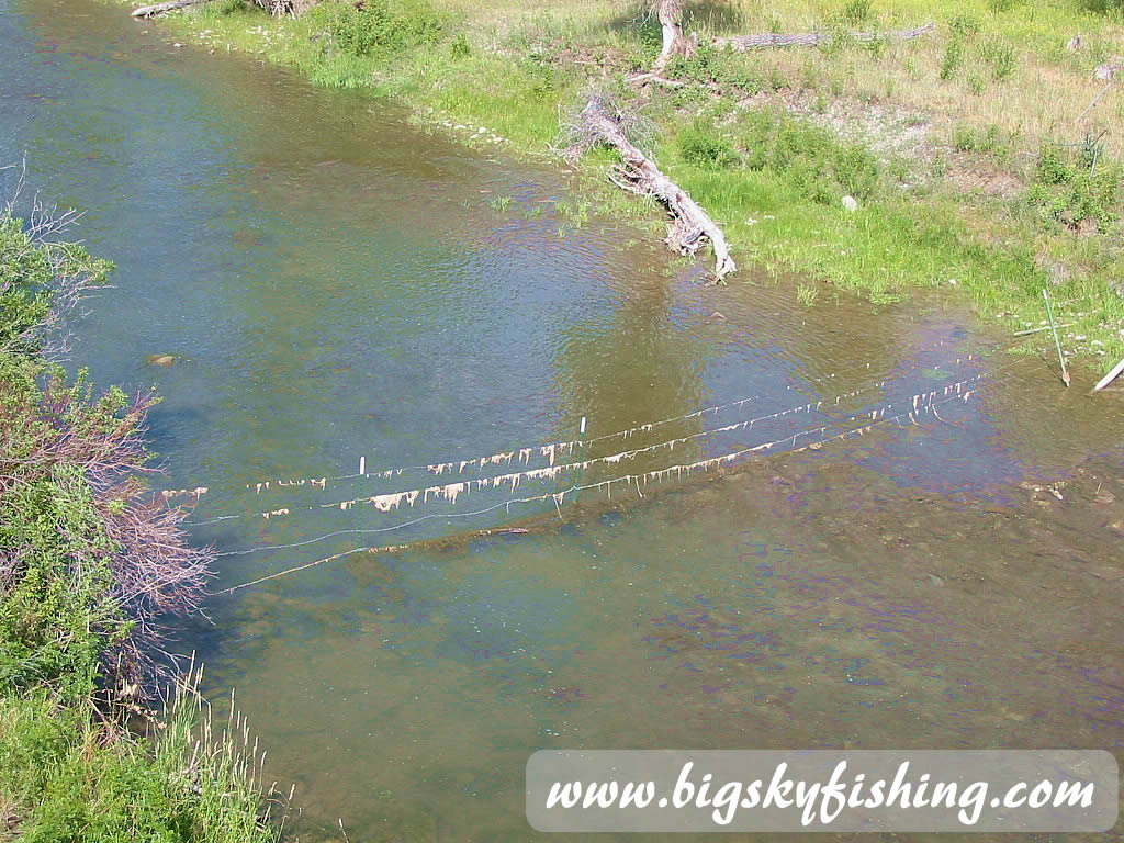 Fence Across Musselshell River in Montana