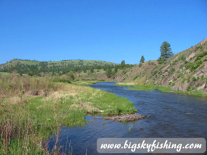 Smith River Montana Hatch Chart