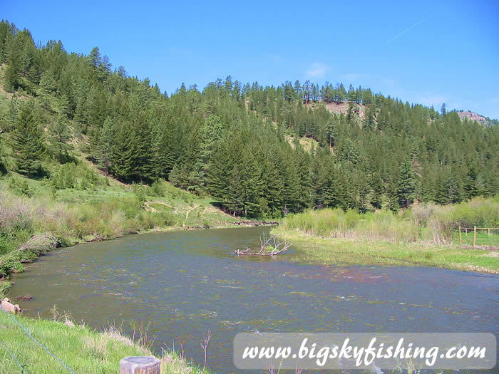 Smith River Hatch Chart