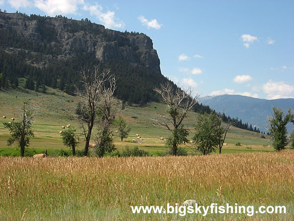 Steeply Rising Mountains & Large Meadows