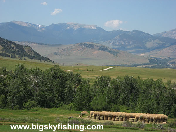 Fields of Hay & Mountains, Photo #1