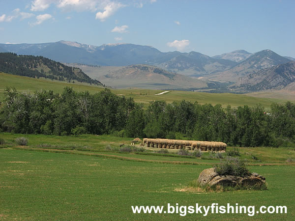 Fields of Hay & Mountains, Photo #2