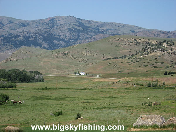 Grazing Horses Near Nye, Montana