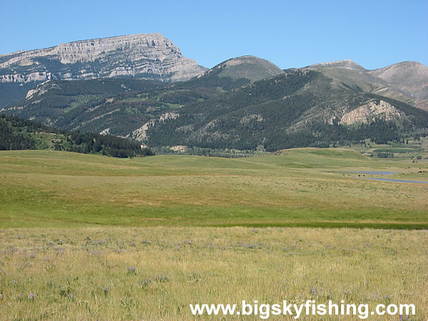 The Forested Mountains of the Rocky Mountain Front