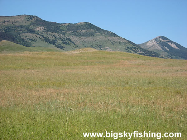 Expansive Prairie Along the Scenic Byway