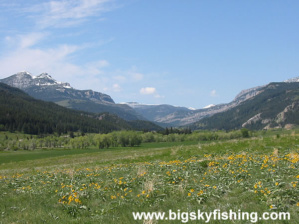 Late Spring Along the Rocky Mountain Front in Montana