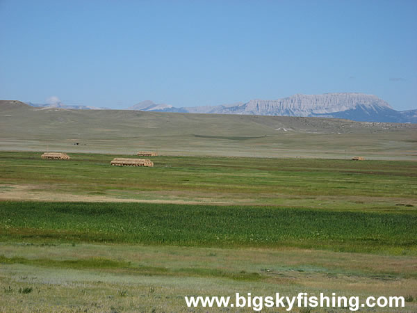 Hayfields, Grass Prairie and Distant Mountains