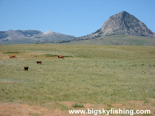 Haystack Butte & The Rocky Mountain Front in Montana