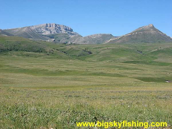 Expansive Grasslands Along the Rocky Mountain Front