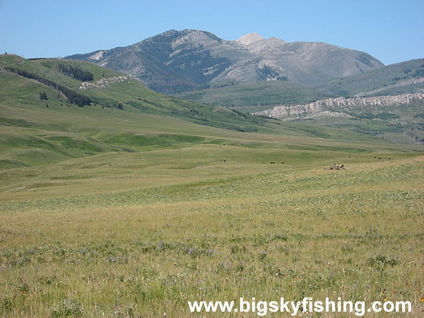 Grass Prairie and the Rocky Mountain Front in Montana