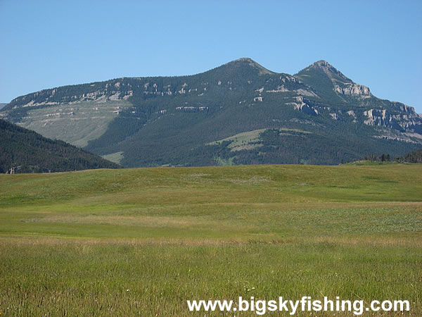 Green Grass & The Peaks of the Rocky Mountain Front