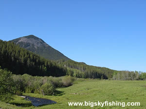 Baldy Mountain in the Bears Paw Mountains