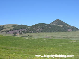 Bears Paw Mountain Country