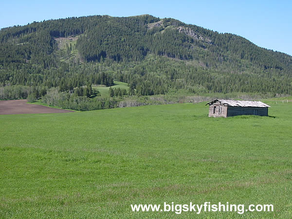 Abandoned Homestead and Forested Mountains