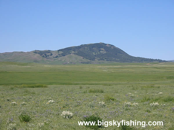 The Eastern Bears Paw Mountains