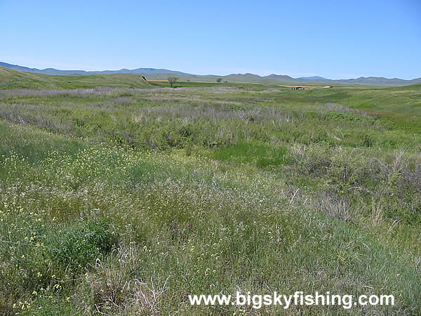 The Bearpaw Battlefield, Photo #1