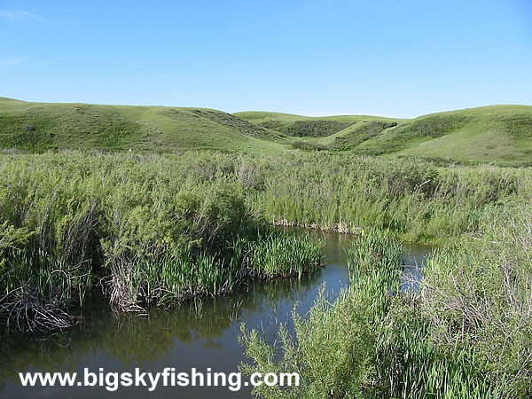 Beaver Creek, Photo #2