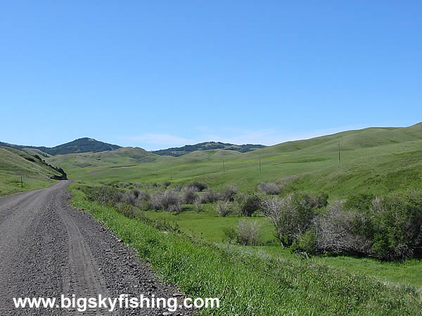 Rolling Grasslands in the Bears Paw Mountains of Montana