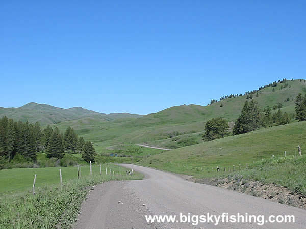 Rolling, Open Grasslands in the Bears Paw Mountains