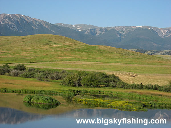 Small Pond and the Beartooth Mountains