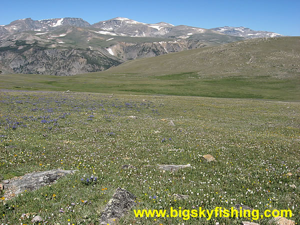 The Beartooth Plateau, Photo #1