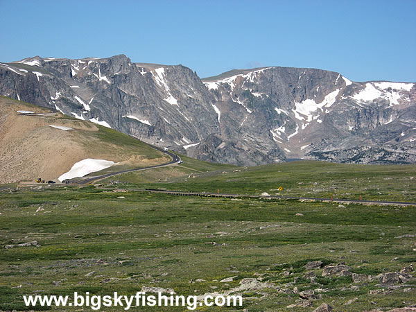 Alpine Tundar on the Beartooth Highway, Photo #1