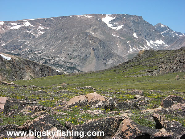 Alpine Tundra on the Beartooth Highway, Photo #4