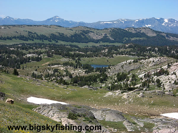 Great Views From the Beartooth Highway