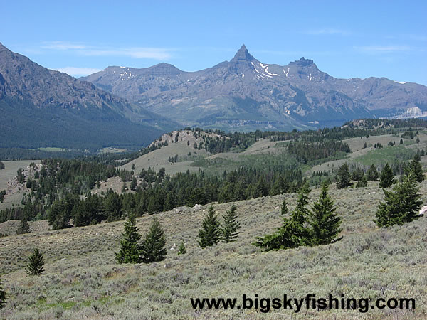 Lower Elevations of the Beartooth Highway in Wyoming #3