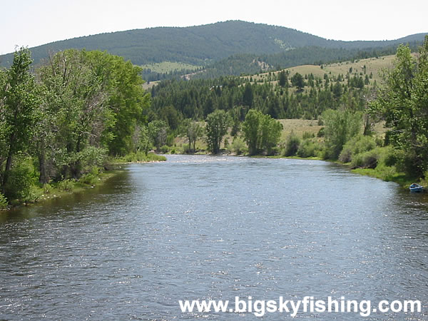 Forested Mountains Along the Big Hole River