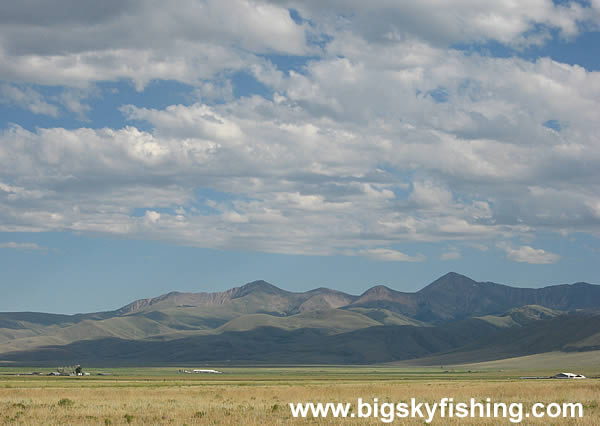 The View Near Dell, Montana