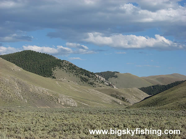 Big Sheep Creek Canyon, Photo #10