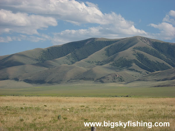 The Beaverhead Mountains Near Dell