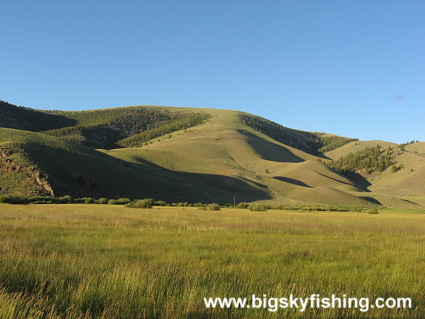 Grasslands and the Tendoy Mountains in Montana