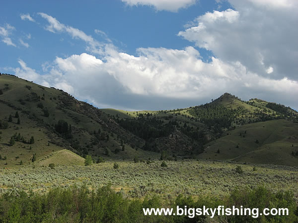 Entering Big Sheep Creek Canyon