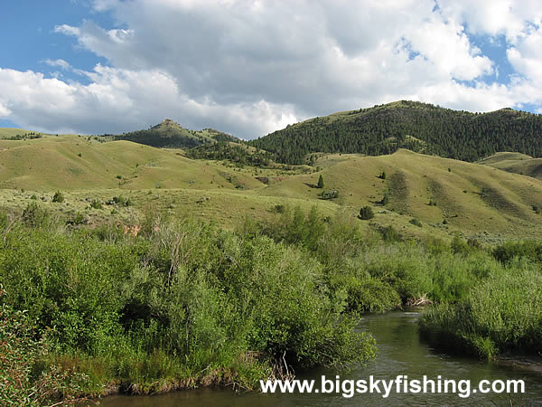 Big Sheep Creek, Photo #3