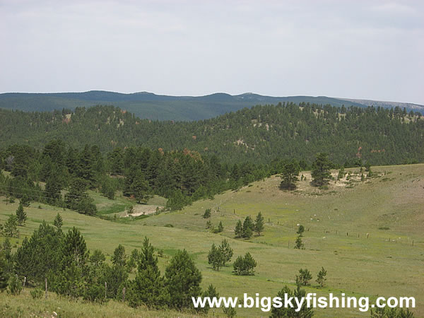 Forests and Meadows Among Rolling Hills