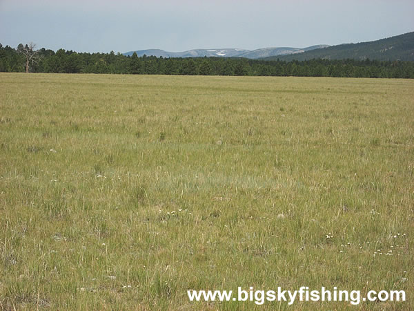 Vast Plain & The Big Snowy Mountains, Photo #2