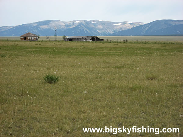 Vast Plain & The Big Snowy Mountains, Photo #3