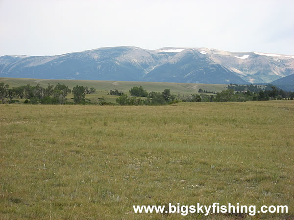 Vast Plain & The Big Snowy Mountains, Photo #4
