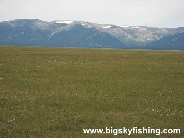 Vast Plain & The Big Snowy Mountains, Photo #5