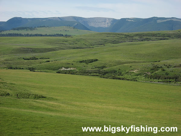 Big Snowy Mountains Seen From the East