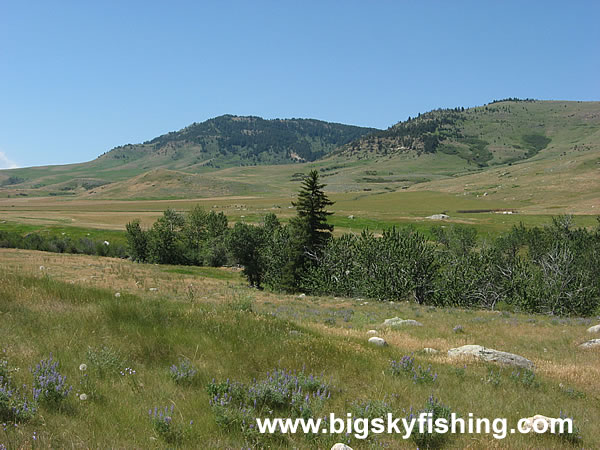 Expansive Meadows & Prairie