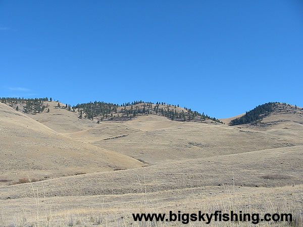 Rolling, Open Hills of the National Bison Range