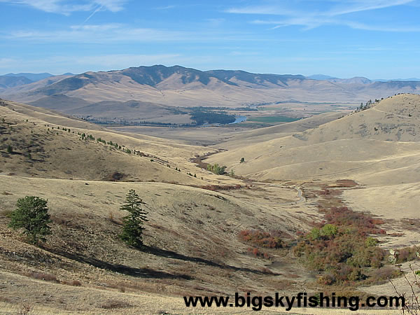 Expansive Hills of Grass